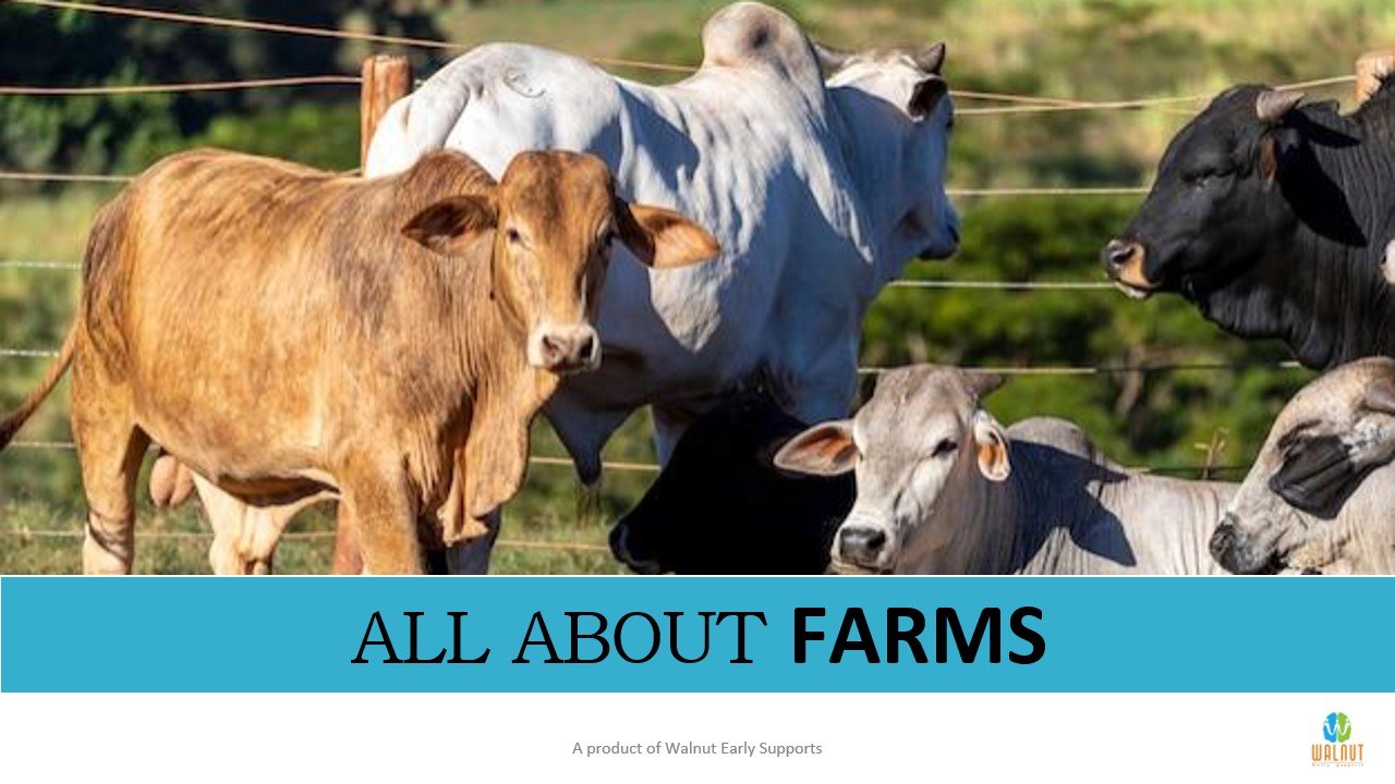 Farm Friends game — farm animals and vocabulary picture cards