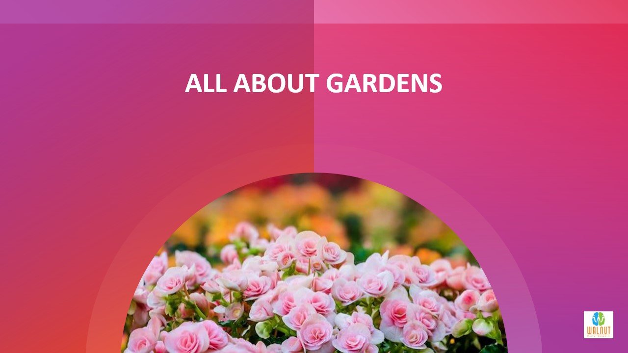 All About Gardens game — colourful picture cards of plants and garden tools